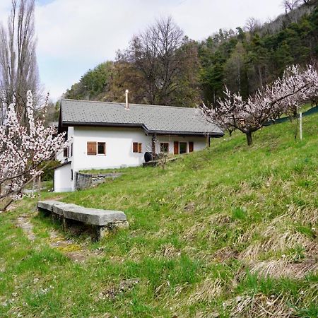 Maisonnette De Campagne 锡永 外观 照片